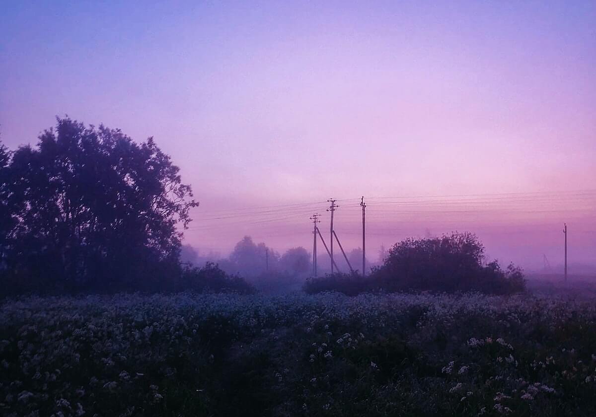 必一运动APP-梅德维德夫三夺大师赛冠军 走出低谷更上一层楼？